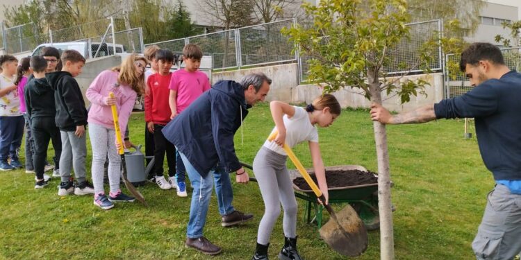 Los escolares de Villamayor concluyen las actividades ambientales por el Día del Árbol