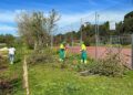 La jornada de voluntariado ambiental deja limpio y acondicionado el entorno del campo de fútbol de Aldeatejada