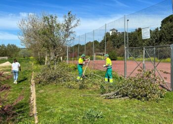 La jornada de voluntariado ambiental deja limpio y acondicionado el entorno del campo de fútbol de Aldeatejada