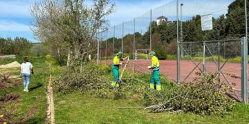 La jornada de voluntariado ambiental deja limpio y acondicionado el entorno del campo de fútbol de Aldeatejada