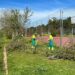 La jornada de voluntariado ambiental deja limpio y acondicionado el entorno del campo de fútbol de Aldeatejada