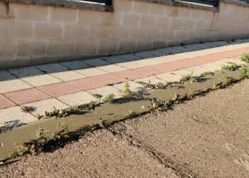 El PP denuncia la suciedad, la falta de mantenimiento y la imagen «vergonzosa y lamentable» que proyecta el municipio por la dejadez del equipo de Gobierno