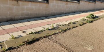 El PP denuncia la suciedad, la falta de mantenimiento y la imagen «vergonzosa y lamentable» que proyecta el municipio por la dejadez del equipo de Gobierno