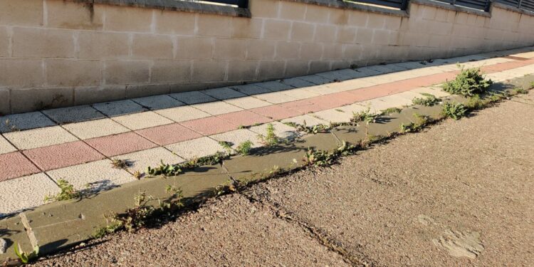 El PP denuncia la suciedad, la falta de mantenimiento y la imagen «vergonzosa y lamentable» que proyecta el municipio por la dejadez del equipo de Gobierno