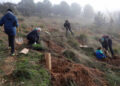 Aldeatejada inicia el sábado las jornadas de voluntariado medioambiental de primavera