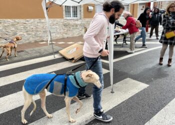 Carbajosa celebra la I Feria de Adopción para concienciar de la responsabilidad de tener una mascota