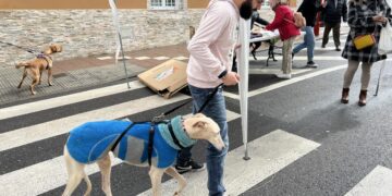 Carbajosa celebra la I Feria de Adopción para concienciar de la responsabilidad de tener una mascota