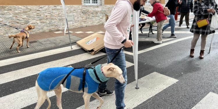 Carbajosa celebra la I Feria de Adopción para concienciar de la responsabilidad de tener una mascota