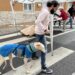 Carbajosa celebra la I Feria de Adopción para concienciar de la responsabilidad de tener una mascota