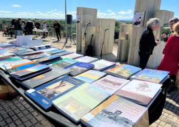 La IV Feria del Libro de Cabrerizos girará en torno a ‘El Quijote’ el domingo 21 de abril