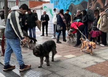 Actividades variadas en la I Feria de Adopción de Carbajosa para concienciar sobre la responsabilidad de tener mascota