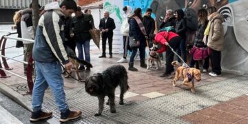 Actividades variadas en la I Feria de Adopción de Carbajosa para concienciar sobre la responsabilidad de tener mascota