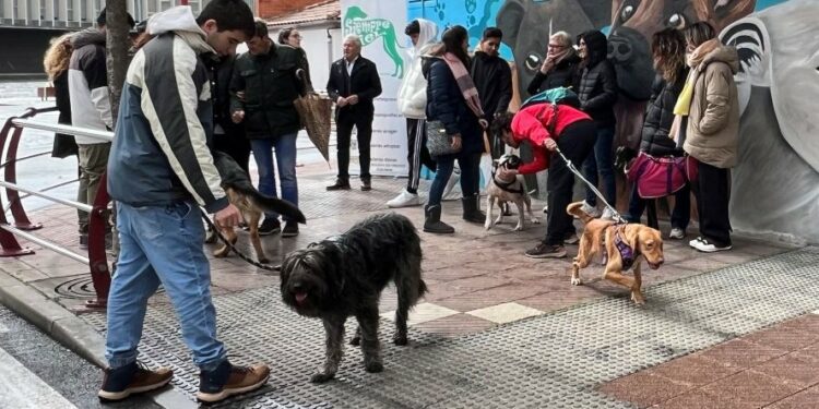 Actividades variadas en la I Feria de Adopción de Carbajosa para concienciar sobre la responsabilidad de tener mascota