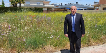 El Ayuntamiento solicita a los propietarios las limpieza y desbroce las parcelas para minimizar el riesgo de incendios