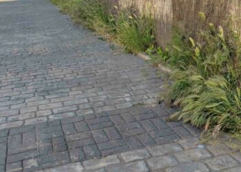 El Ayuntamiento solicita a los propietarios de 422 parcelas su limpieza y desbroce para disminuir el riesgo de incendios