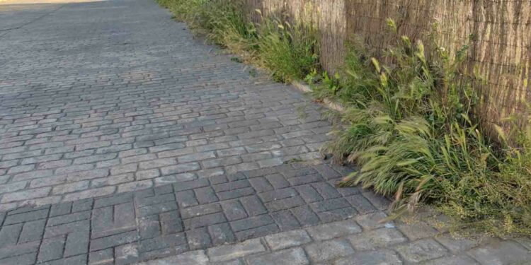 El Ayuntamiento solicita a los propietarios de 422 parcelas su limpieza y desbroce para disminuir el riesgo de incendios