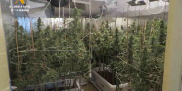 La Guardia Civil detiene a cuatro personas y desmantela en Ciudad Rodrigo una plantación ‘indoor’ de marihuana