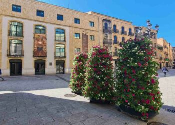 Nuevas torres florales con 1.000 plantas en la Plaza del Liceo y la calle Zamora