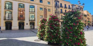 Nuevas torres florales con 1.000 plantas en la Plaza del Liceo y la calle Zamora