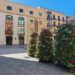 Nuevas torres florales con 1.000 plantas en la Plaza del Liceo y la calle Zamora