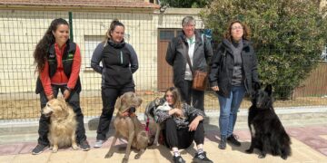 Carbajosa celebrará la I Feria de Adopción de mascotas el sábado 18 en la Plaza del Ayuntamiento