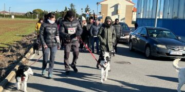 Monterrubio disfrutará de una doble jornada de concienciación ambiental con la plantación de 37 árboles y de adopción de animales