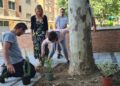 Asprodes continúa su participación en el proyecto ‘Alcorques savios’ de Salamanca