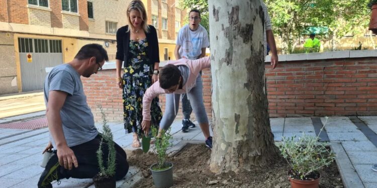 Asprodes continúa su participación en el proyecto ‘Alcorques savios’ de Salamanca