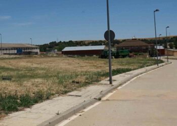 El Ayuntamiento limpia y desbroza caminos y parcelas municipales para minimizar el riesgo de incendios y la proliferación de plagas