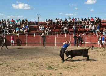Las vaquillas dejan una tarde con buen ambiente y grandes lances en el albero