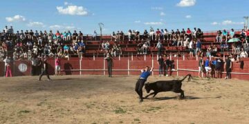 Las vaquillas dejan una tarde con buen ambiente y grandes lances en el albero