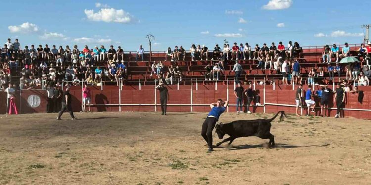 Las vaquillas dejan una tarde con buen ambiente y grandes lances en el albero