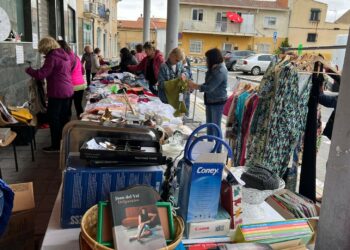 La solidaridad vecinal marca de nuevo el éxito del mercadillo de la Asociación de Mujeres de Cabrerizos