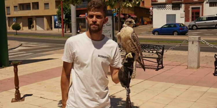 Búhos, lechuzas, águilas y halcones despiertan el interés de los más pequeños por las grandes rapaces y la cetrería