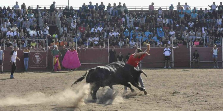 ‘Tanteador’ el Toro del Aguardiente de Santa Marta finaliza sin incidentes y con la recogida de 2.700 kilos de alimentos