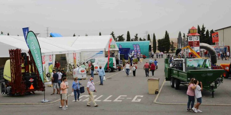 Salamanca pondrá en marcha un servicio especial de autobuses gratuito para Salamaq
