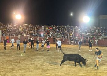 Diversión y algún susto en la capea nocturna de Carbajosa que reunió a 2.000 personas