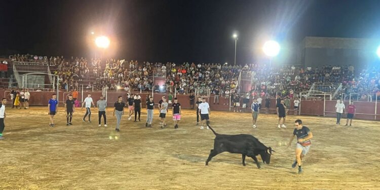 Diversión y algún susto en la capea nocturna de Carbajosa que reunió a 2.000 personas