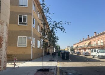 La urbanización de las calles Oeste y Salamanca de Carbajosa concluye con la plantación de nueve tilos y siete gingko biloba