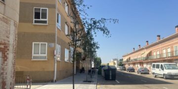 La urbanización de las calles Oeste y Salamanca de Carbajosa concluye con la plantación de nueve tilos y siete gingko biloba