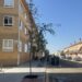 La urbanización de las calles Oeste y Salamanca de Carbajosa concluye con la plantación de nueve tilos y siete gingko biloba