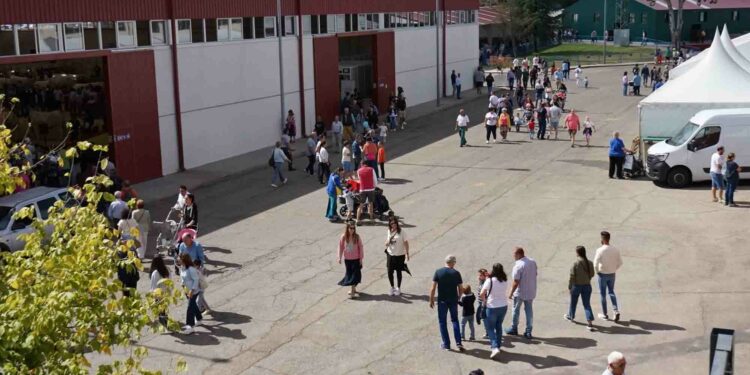 Miles de personas de toda la provincia visitan Salamaq en el primer lleno de la feria