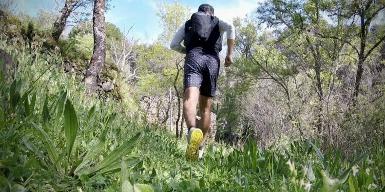 El Trail Sierra de Francia que se disputará el 27 de octubre llega con las pruebas de 25 kms, 10 kms, andarines y un atractivo recorrido