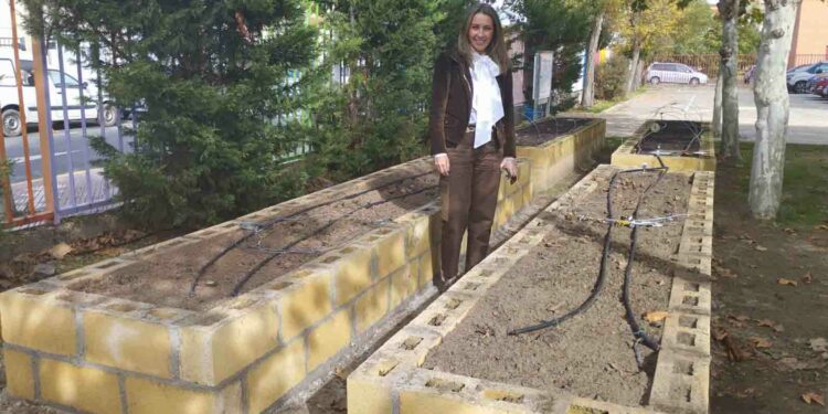 Actualización del huerto de ocio del CEIP San Blas con la construcción de bancales más resistentes