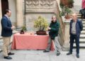 La exposición Bonsáis muestra 42 ejemplares de 22 especies en el Patio de La Salina