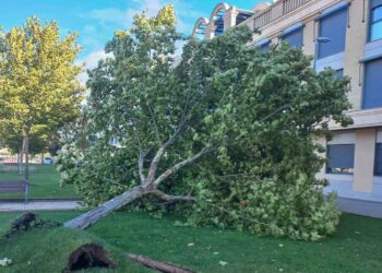 La Universidad de Salamanca ‘presume’ de biblioteca  verde