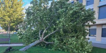 La Universidad de Salamanca ‘presume’ de biblioteca  verde