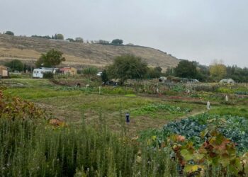La CHD sanciona al Ayuntamiento de Cabrerizos y le obliga a reordenar los huertos familiares