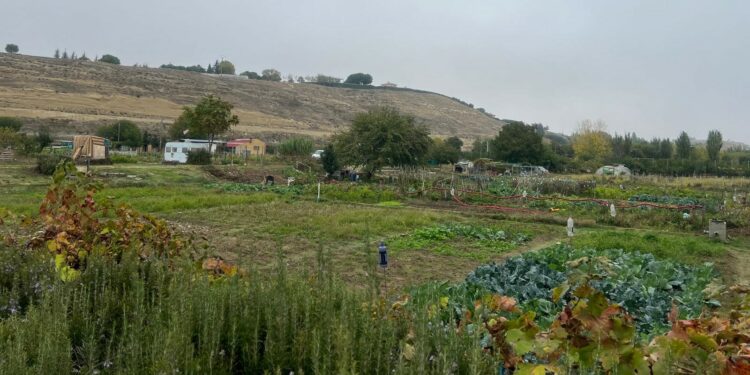 La CHD sanciona al Ayuntamiento de Cabrerizos y le obliga a reordenar los huertos familiares