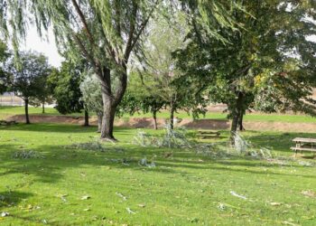 La Agencia de Protección Civil declara el fin de la alerta por fuertes vientos, que deja más de un millar de llamadas al 112 y 68 incidentes en la provincia